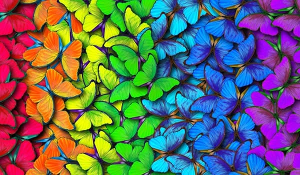 Secret Language Of Color Consulting