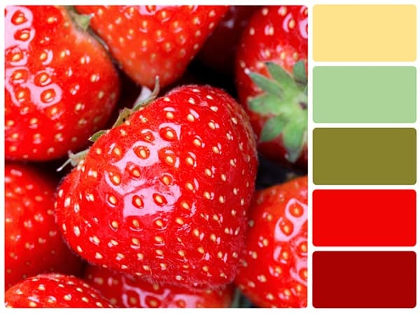 Atmosphere Of Color